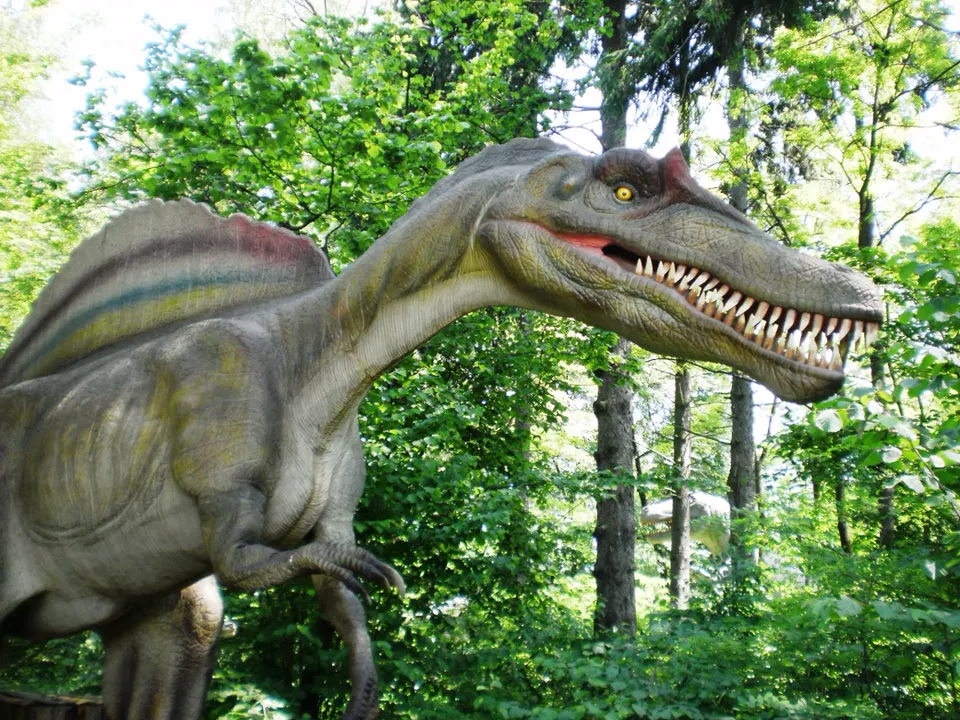 Zatorland